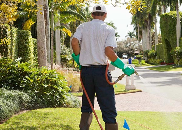 About Upland NE Pest Control